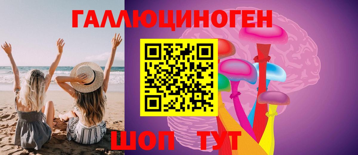 Псилоцибиновые грибы Psilocybe Новочеркасск