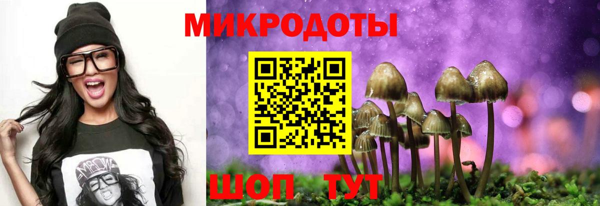 Галлюциногенные грибы GOLDEN TEACHER  Вход с VPN  Новочеркасск 